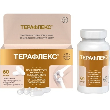Терафлекс капсулы 500мг/400мг №60 №1