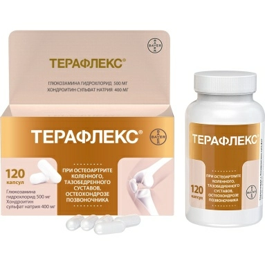 Терафлекс капсулы 500мг/400мг №120 №1